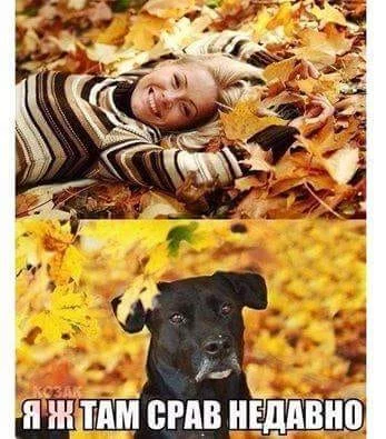 gjhba2.webp