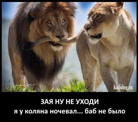 gjhjc5.webp