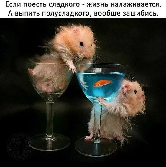 gjhjh2.webp