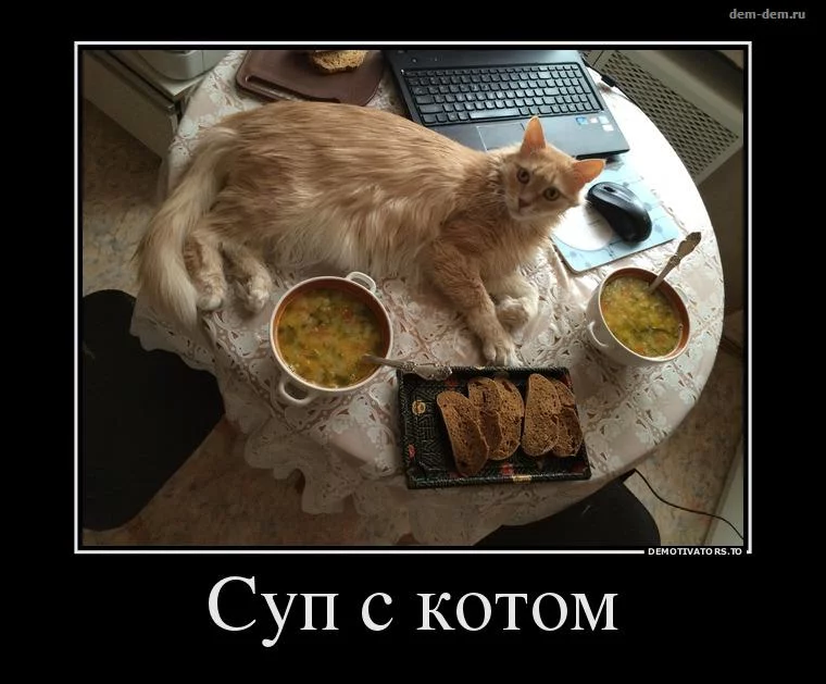 gjjhe2.webp