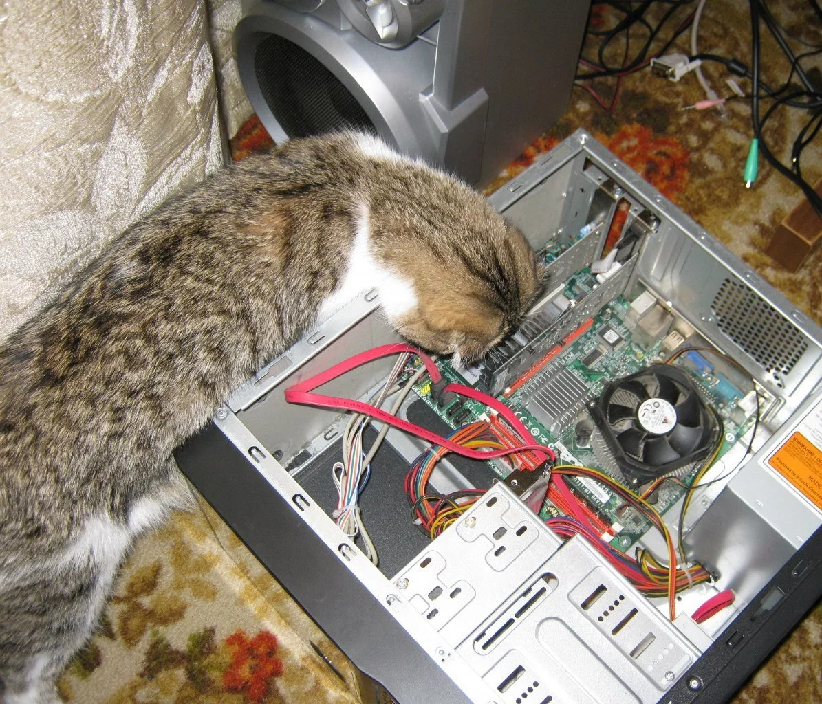 gjKDXPjQm7E.webp