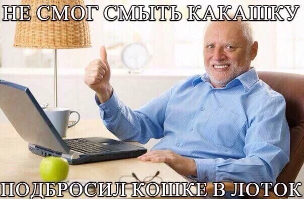 GMOWSDTcnYk.webp