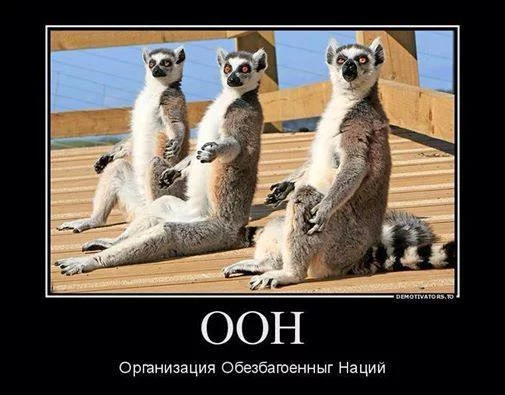GN4hlwNzvvk.webp