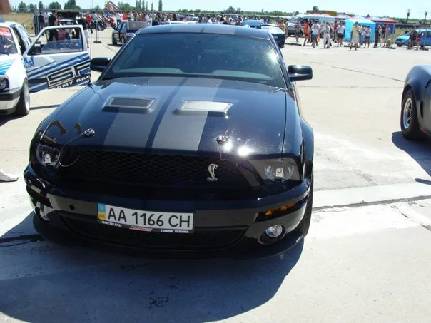 gO21RBS4zFw.webp