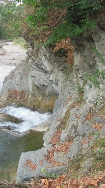 GOHLpSpTqCQ.webp