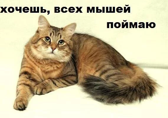 gOLHtg_Gh_4.webp