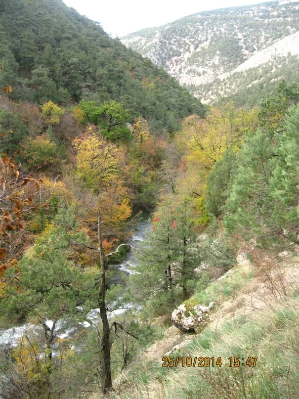 golTAB4_KZk.webp