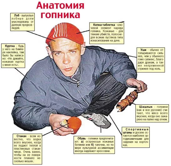 gops-anatomy.webp