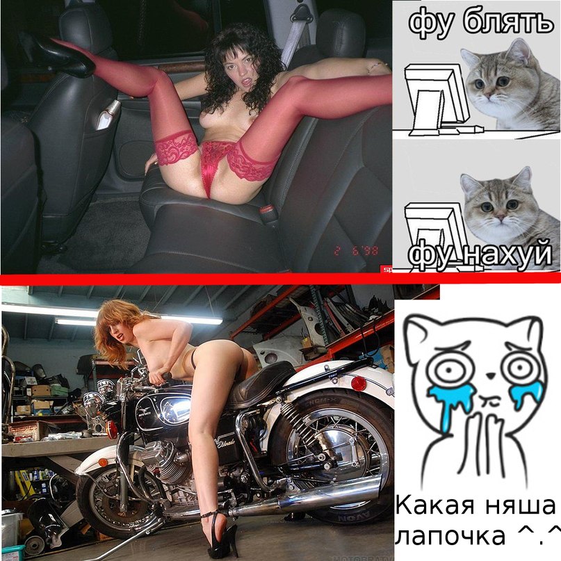 Gp2t6Kr0vV8.jpg
