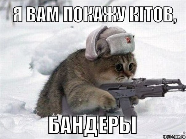 GPTPDHf92O8.jpg