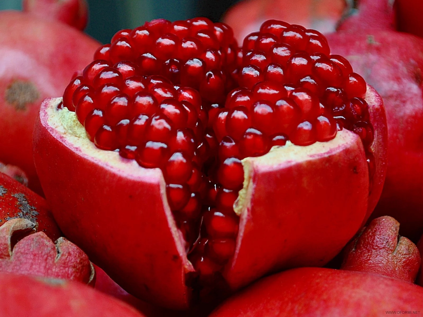 granat.webp