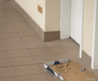 Gravity_is_Broken_Here (1) (1).gif