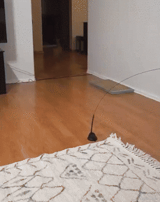 Gravity_is_Broken_Here (2).gif