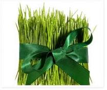 Green-Grass-Gift.jpg