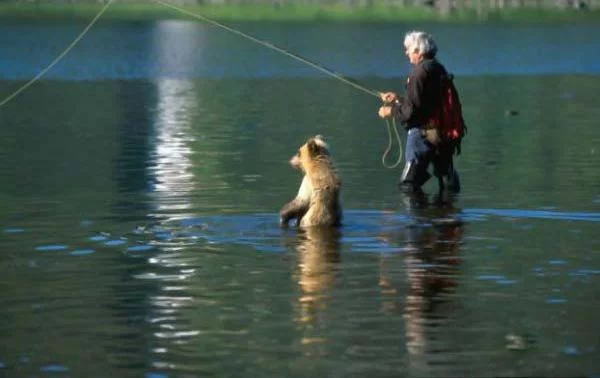 grizzly-fishing.webp