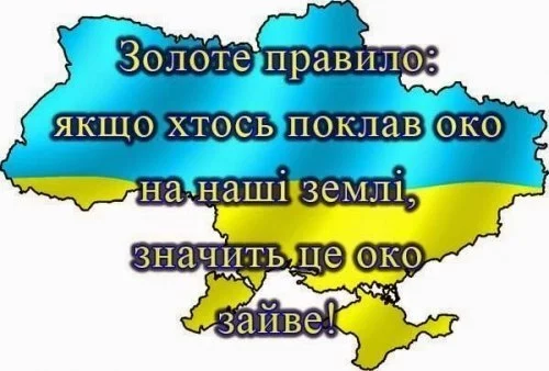 GSQB70NJXAw.webp