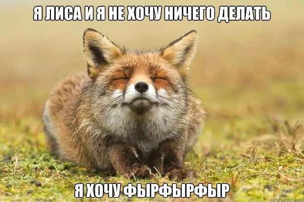 GtdEpoXP98U.webp