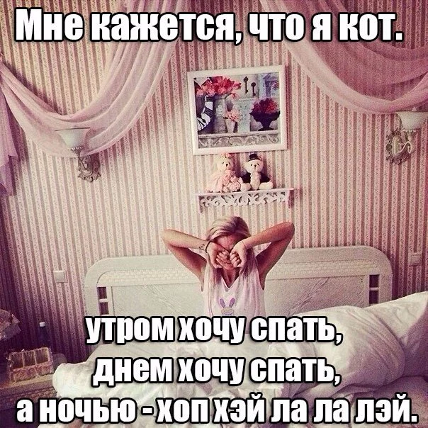 GU-EjhDrdYk.webp