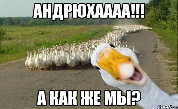 gusi_33063964_orig_.webp