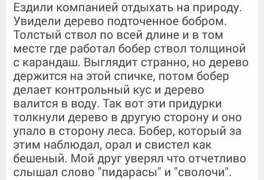 GVabITidT7M.webp