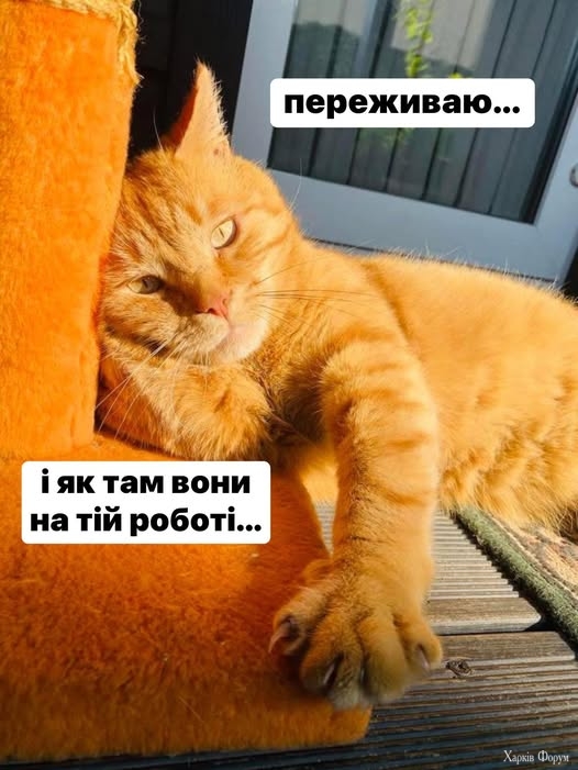 gzhxjveSSa2PtZk&_nc_zt=23&_nc_ht=scontent.fiev25-1.jpg