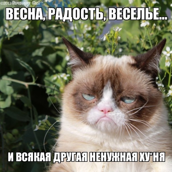 H-VwXx7EqhM.jpg