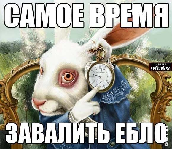 h1aahc.webp