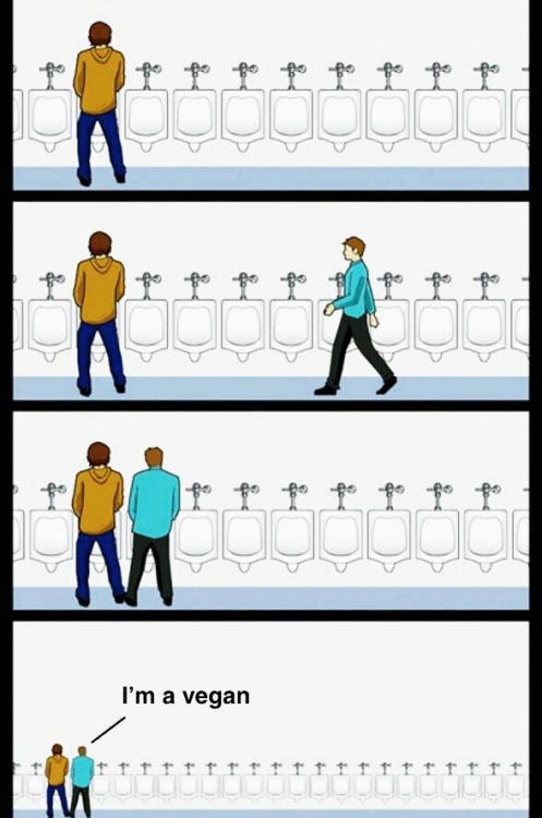 h1dcgg.jpg