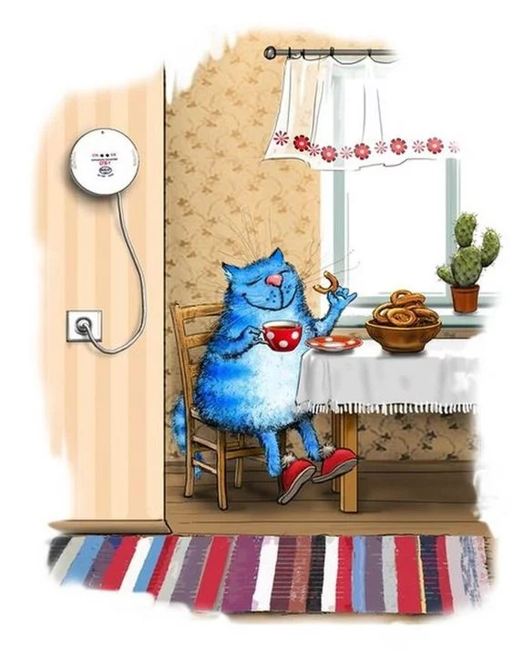 h1hbhd.webp