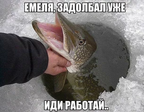 h1jhhc.webp