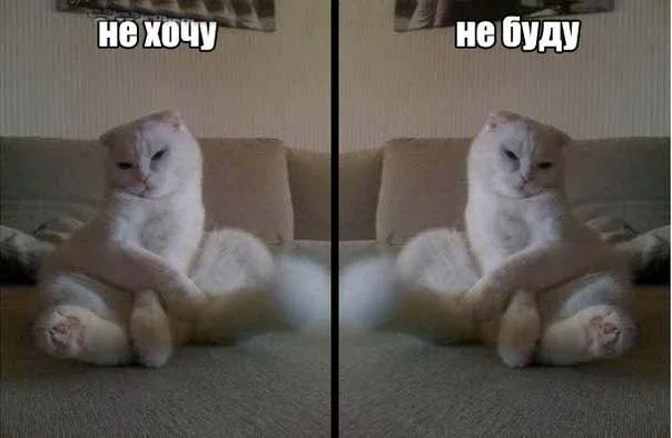 h2jcfg.webp