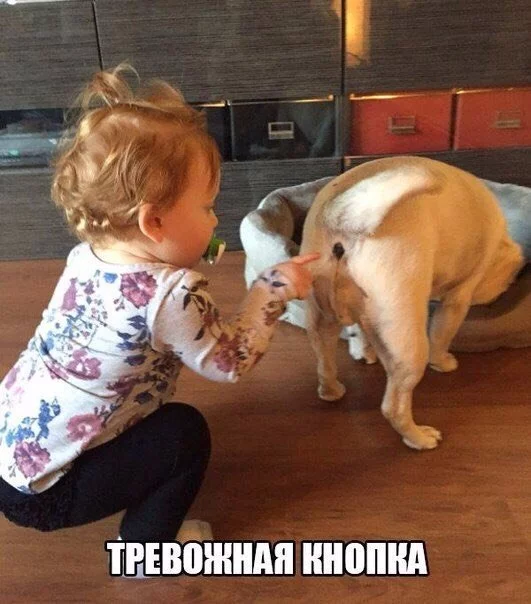 h2TkFkRINg8.webp