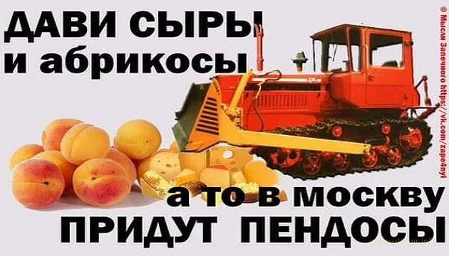 h3gfhd.webp