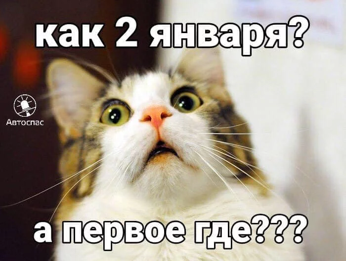 h3ggbg.webp