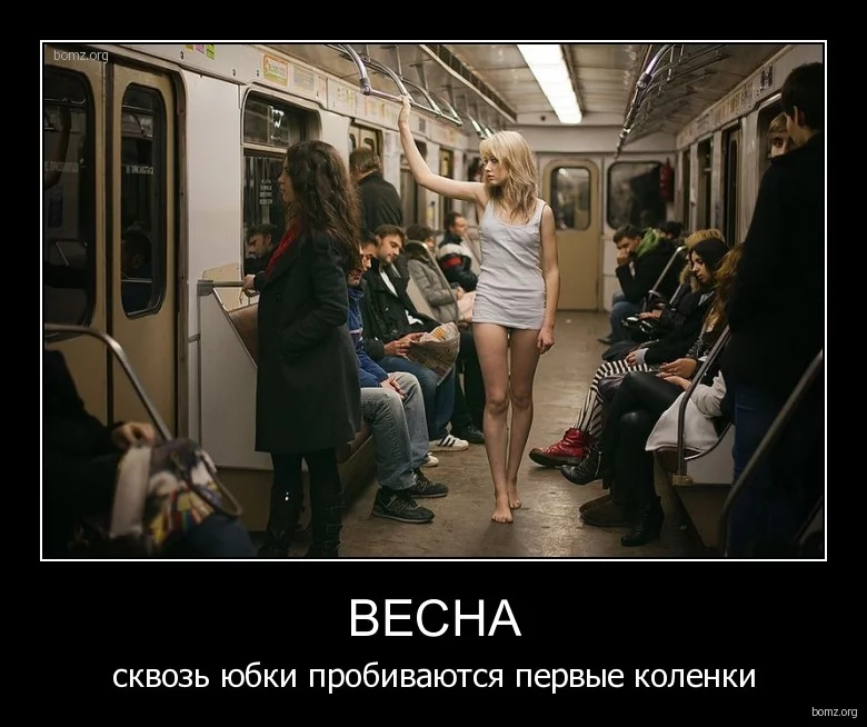 h3jeec.webp