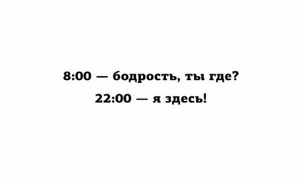 h5dbgj.webp
