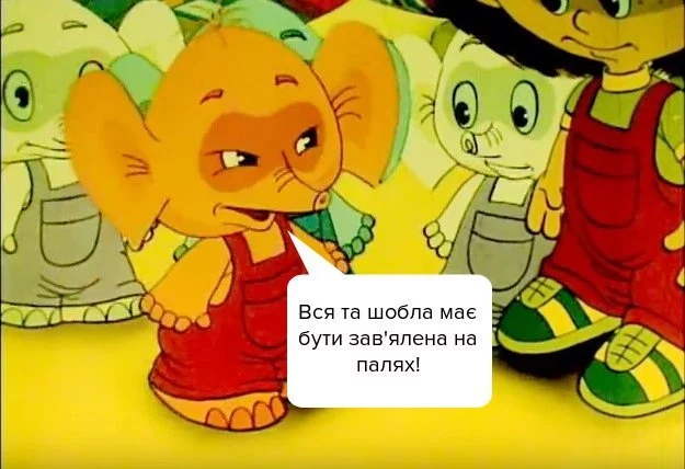 h5fgdg.webp