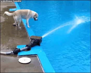 h5jcdf.gif