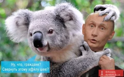 h6dchg.webp