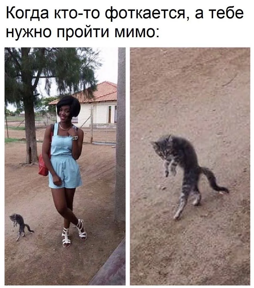 h6ddfc.webp
