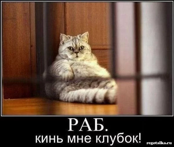 h6hegc.webp