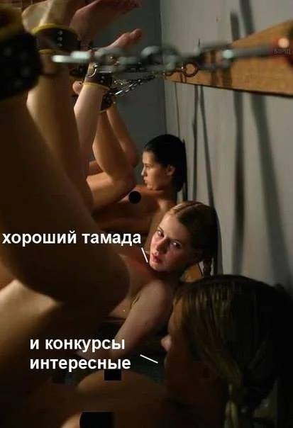 h6jgca.webp