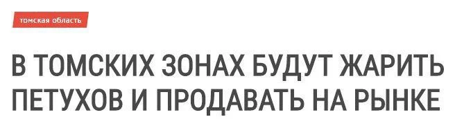 h6jgcd.jpg