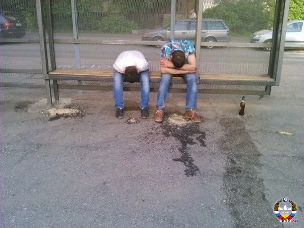 h7dbhe.webp