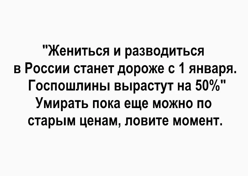 h7dfhj.webp