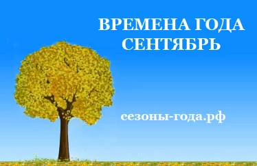 h7dggb.webp