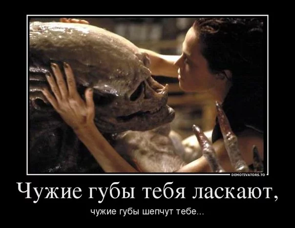 h7gcdb.webp