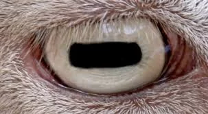 h7jjjj.webp