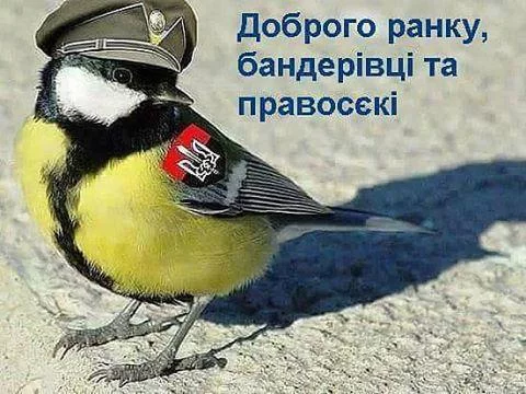 h9abja.webp