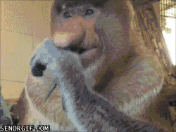 h9bhee.gif